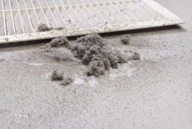 Best HVAC System Cleaning  in Highland City, FL