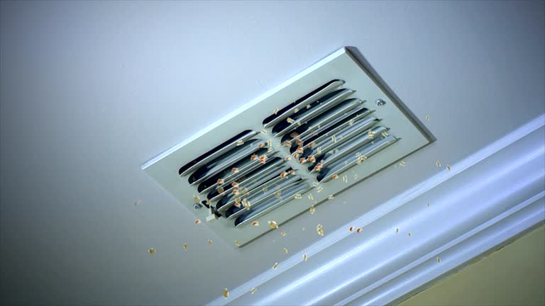 Best Home Air Vent Cleaning  in Highland City, FL