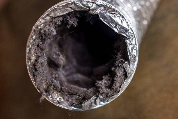 Best Air Duct Cleaning Near Me  in Highland City, FL