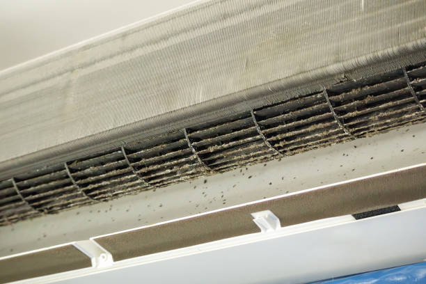 Best Duct Cleaning for Offices  in Highland City, FL